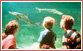 Sealife Adventure Southend